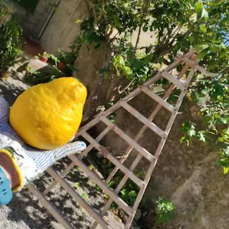 بيت للعطل Casa De Pueblo En Vilafranca *